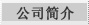 公司简介