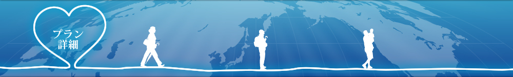 医疗旅游日本