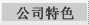 公司特色