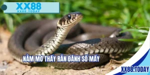 nằm mơ thấy rắn đánh số mấy