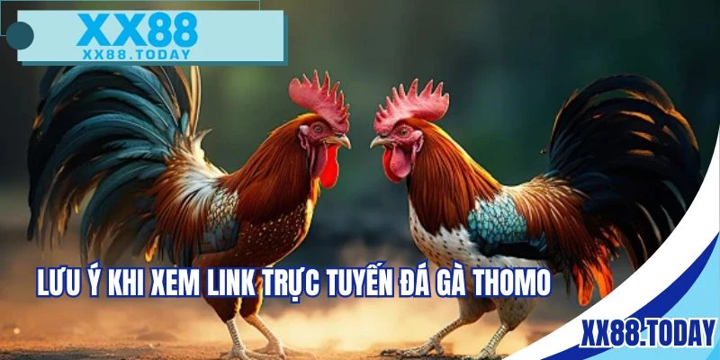 Người chơi cần ghi nhớ một số khía cạnh quan trọng